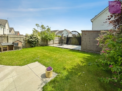 Picture 9